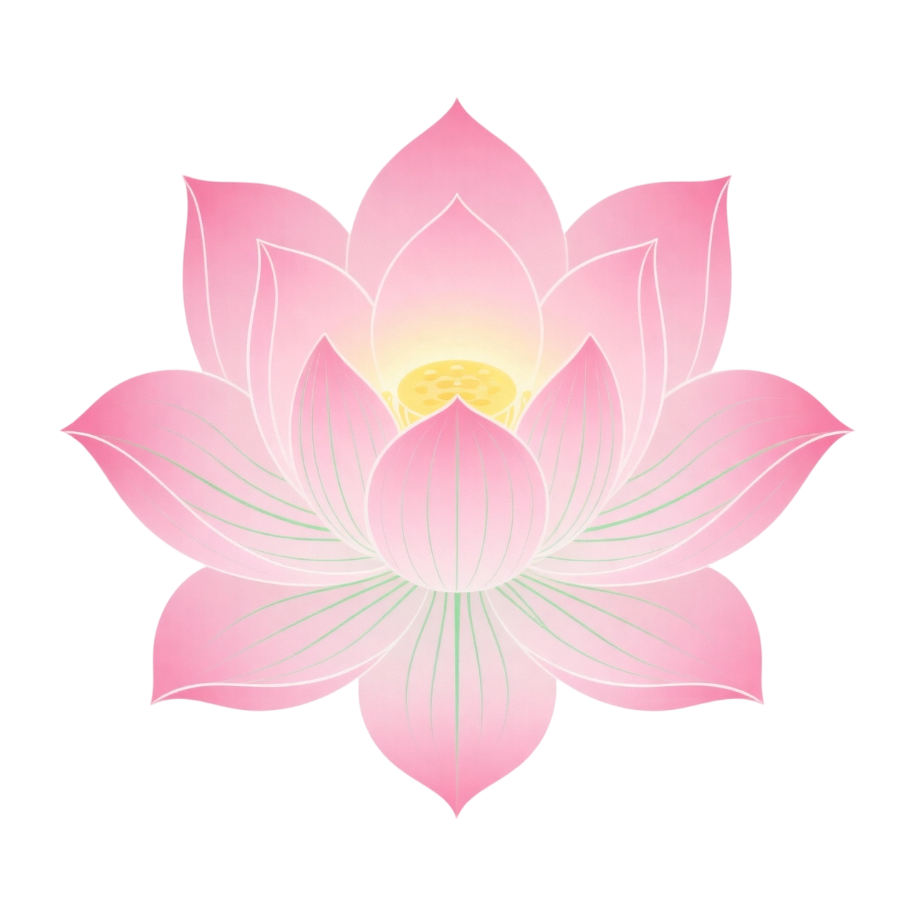 玲珑论坛上线了